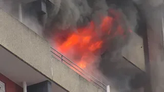 [FLASHOVER BEI HOCHHAUSBRAND]- Wohnungsbrand im 9. OG | Vollbrand | Großeinsatz Feuerwehr Düsseldorf