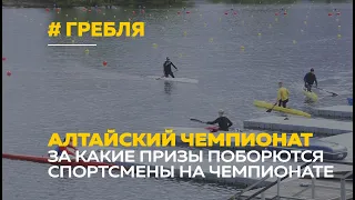 Чемпионат по гребле | За что поборются спортсмены и кто в фаворитах