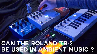 Can the Roland TB-3 be used in ambient music? | Ambient Experimentation