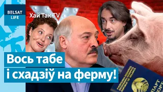 У Лукашенко украли паспорт. Беларусские свиньи вышли в топ / Хай так TV