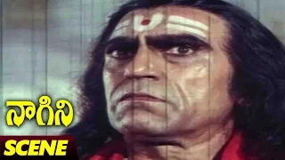 Ambrish Puri Action Scene || Naagini Telugu Movie || Rishi Kapoor, Sri Devi