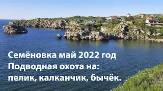 Семёновка Крым 2022 май подводная охота 2022 подводная охота азовское море 2022 ferei w155 v2