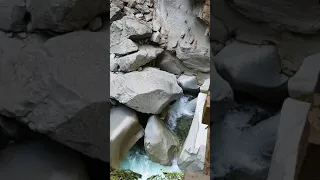 Salmon trying to jump upstream