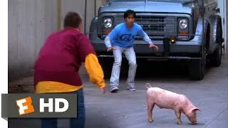 American Pie Presents Beta House (6/8) Movie CLIP - Parkour Pig Chase (2007) HD