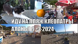 ПО УЛИЦЕ 25 МЕТРОВ ИДУ НА ПЛЯЖ КЛЕОПАТРЫ 9 МАРТА АЛАНЬЯ ТУРЦИЯ 2024 РОМКА РОКЕР