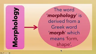 What is Morphology? (L-3)