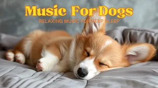 8 Hour Separation Anxiety Music for Dogs | Soothing Calm Down Music for Deep Sleep