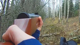 Airgun plinking with Perfecta Mod. 32