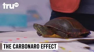 The Carbonaro Effect - Craft Turtle