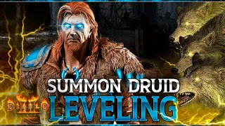 Leveling a Summon Druid - HOW TO GUIDE - GOOD early leveling spec - Patch 2.4 Diablo 2 Resurrected