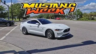 Mustang Week 2019 Pullouts!