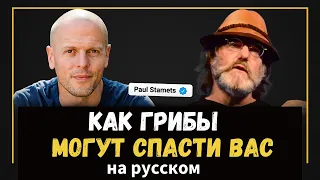 Пол Стамец — Как грибы могут спасти вас и (возможно) мир | Шоу Тима Феррисса на русском