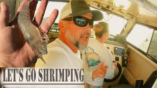 Commercial SHRIMP TRAWLING... We're Struggling on our 25' Parker DRAG QUEEN