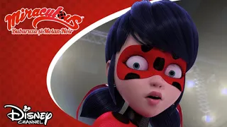 🐞 Față în față | Miraculos: Buburuza și Motan Noir | Disney Channel România