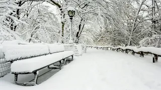 ❄ Beautiful Winter Snow Scene Relaxing Piano Music - Soothing Calming Sleep Meditation Study Music 4