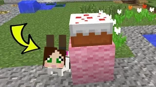 Minecraft: BUNNY HIDE AND SEEK! - BEATING POPULARMMOS