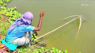 Traditional net fishing video - Professional fish hunter catching fish by net (Part-37)