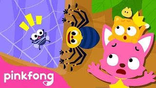 Oh no! Itsy Bitsy Spider Song | Fun Nursery Rhymes of Pinkfong Ninimo | Pinkfong Kids Song