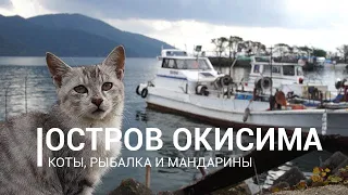 Окишима, пресноводный остров котиков