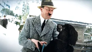 Hitler's Creatures: The Nazis' Obsession with the Animal Kingdom | Documentary