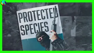 IRA Informer - Protected Species - UP Close 2023 - Troubles Documentary