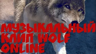 Wolf online музыкальный клип " мало половин "