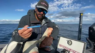 IMPORTANT INFO!! “Fizzing” Video. A quick video showing how to FIZZ Smallmouth. #fishcare #bass