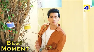 Heer Da Hero Ep 19 | Imran Ashraf - Amar Khan | Best Moment 09 | Har Pal Geo