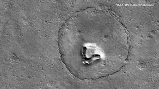 Is there life on Mars? Maybe, and it could have dropped its teddy | AFP