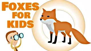 Foxes for Kids