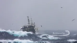 😳 🌊⚓️DRAMATIC Film of Fishing Vessel in Heavy Sea #storm #trawler #fishing