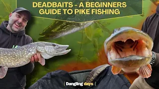 Deadbaits - A Beginners Guide To Pike Fishing