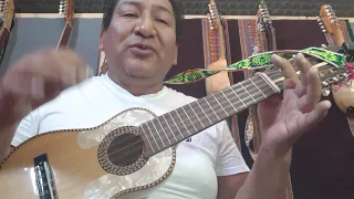 CURSOS DE CHARANGO  PUNTEO 4  NIVEL BÁSICO 10