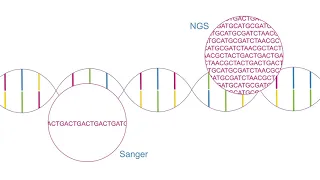 Learn with Illumina: Using NGS Instead of Sanger Sequencing