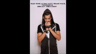 Sak Noel & Salvi ft Sean Paul   Trumpets  deejay melo edit