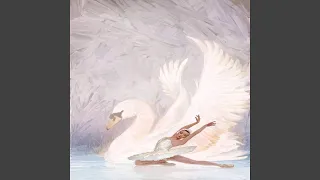 Swan Lake, Op. 20, Act 2: No. 10, Scene. Moderato