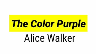 The Color Purple novel by Alice Walker in hindi summary and explained