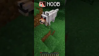 NOOB vs PRO in Сraftings Minecraft 😨 World's Smallest Violin