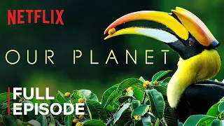 Satisfying, Our Planet | One Planet | FULL EPISODE | Netflix Enjoy & Sleep