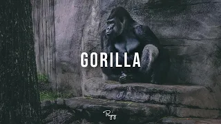 "Gorilla" - Dark Angry Trap Beat | New Rap Hip Hop Instrumental Music 2020 | Bias #Instrumentals