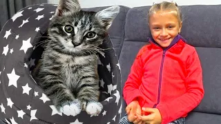 Домик для котика - Ярослава и бал хризантем | Видео для детей