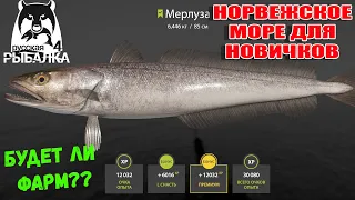 С КАЛИБРОМ НА МОРЕ, ВЫГОДНЫЙ ФАРМ ДЛЯ НОВИЧКОВ? НОРВЕЖСКОЕ МОРЕ РУССКАЯ РЫБАЛКА 4 РР4