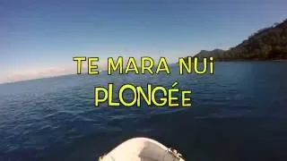 Tiva-Tahaa, Raiatea - Te mara nui plongée