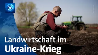 Ukraine: Landwirte kämpfen um Existenz