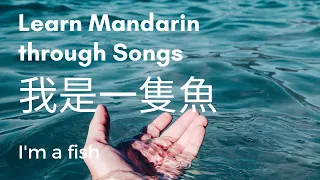 I'm a fish - Learning Chinese through Songs with Pinyin Lyrics & English