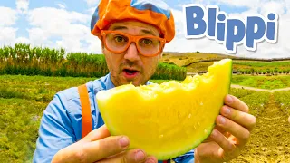 Blippi Visits Tanaka Farms | Blippi | Learning Videos For Kids | Educational Videos For Toddlers