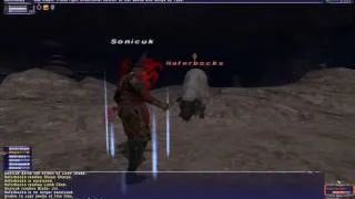 FFXI Final Fantasy XI Online Ninja vs Lamb Chop