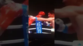 Gennadiy Golovkin (Kazakhstan) vs Kamil Szeremeta (Poland) | RTD, Boxing Fight Full Highlights HD