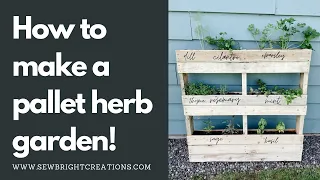 Turn a pallet into a herb garden in one day!
