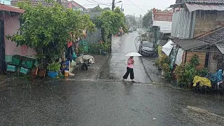 Walking in the Heavy Rain With Umbrella in the City Residential, Relaxing Rain Sounds for Sleeping